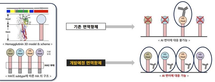 [서울=뉴시스] 애드바이오텍은 모든 유형의 변이에 대응 가능한 조류인플루엔자(AI) 바이러스 예방용 면역 항체 개발에 나선다고 14일 밝혔다. (사진=애드바이오텍 제공) 2023.08.14. photo@newsis.com *재판매 및 DB 금지