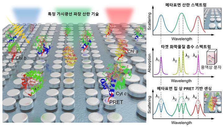 메타표면 칩 기반 초분광 이미징 및 센서 기술 모식도(사진=서울시립대 제공) *재판매 및 DB 금지