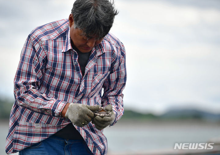 [신안=뉴시스] 이영주 기자 = 23일 오전 전남 신안군 안좌면 한 전복 양식장에서 이곳 주인 정영규(62)씨가 양식장에서 전복을 꺼내들어 상태를 확인하고 있다. 2023.08.23.leeyj2578@newsis.com