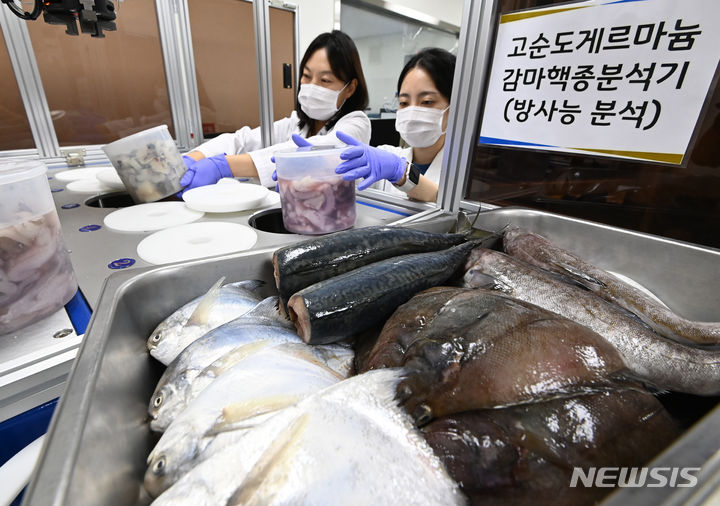 [수원=뉴시스] 김종택 기자 = 일본이 후쿠시마 제1원자력발전소 오염수의 해양 방류를 시작한 24일 경기도 수원시 경기도보건환경연구원에서 연구원들이 각 지역에서 의뢰받은 수산물을 대상으로 방사능 안전성 검사를 하고 있다. 2023.08.24. jtk@newsis.com