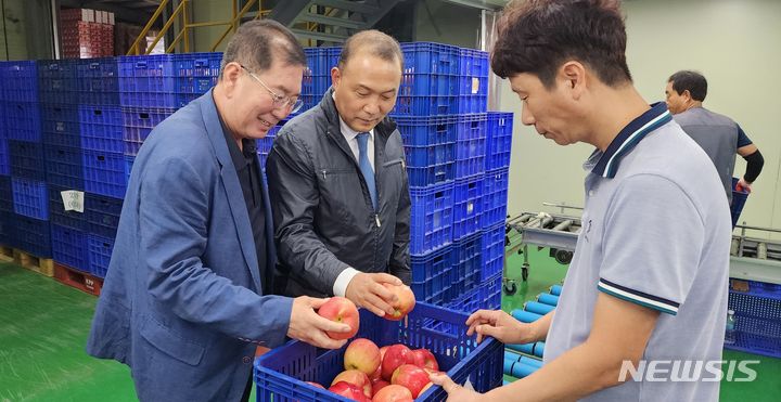 [무주=뉴시스]윤난슬 기자 = 전북농협은 민족 고유의 명절인 추석을 앞두고 30일 무주군 구천동 농산물산지유통센터 등 현장을 찾아 재고 현황과 과일 수급 동향을 점검했다고 밝혔다.2023.08.30.(사진=전주시 제공) 