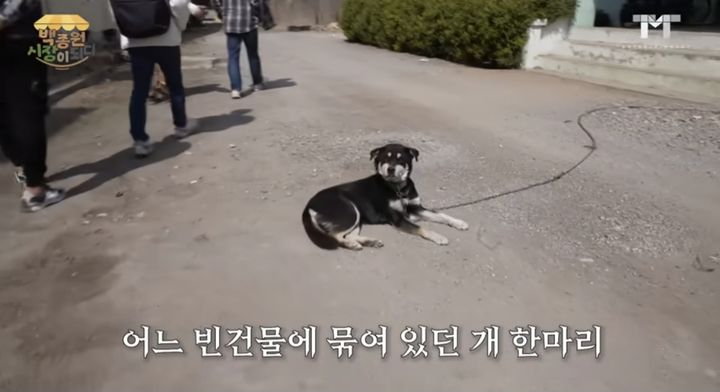 [서울=뉴시스] 지난 4일 백종원이 운영하는 유튜브 채널에는 '서열 1위를 노리는 신입 직원'이라는 제목의 영상이 올라왔다. (사진=유튜브 채널 '백종원' 캡처) 2023.09.05. photo@newsis.com *재판매 및 DB 금지