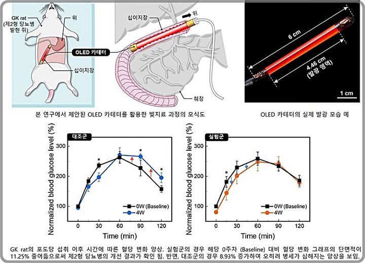 [대전=뉴시스] OLED 카테터를 활용한 빛치료 과정 모식도와 디바이스, 동물실험 결과 그래프.(사진=KAIST 제공) *재판매 및 DB 금지