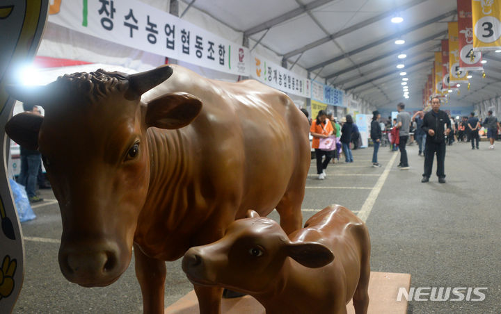 [장수=뉴시스] 김얼 기자 = 제17회 장수 한우랑 사과랑 축제 개막식이 열린 15일 전북 장수군 의암공원 축제장에 조형물이 세우져 있다. 2023.09.15. pmkeul@nwsis.com