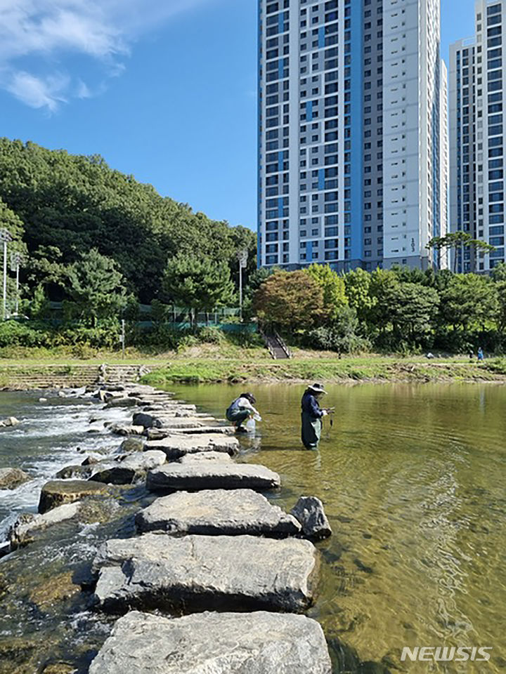 [성남=뉴시스] 생물화학적 산소요구량(BOD)이 최근 9개월 월평균 리터당 1.8㎎로 측정된 탄천 돌마교 지점.