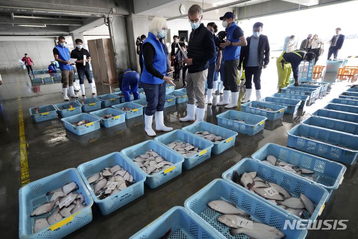 [이와키=AP/뉴시스]중국, 한국, 캐나다의 과학자들과 함께 국제원자력기구(IAEA) 전문가팀이 19일 일본 동북부 이와키의 히사노하마항에서 열린 오전 경매에서 이 일대에서 잡힌 어류를 관찰하고 있다. 2023.10.19. 