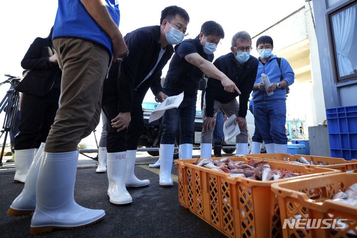 [이와키=AP/뉴시스]중국, 한국, 캐나다의 과학자들과 함께 국제원자력기구(IAEA) 전문가팀이 19일 일본 동북부 이와키의 히사노하마항에서 열린 오전 경매에서 이 일대에서 잡힌 어류를 관찰하고 있다. 2023.10.19.