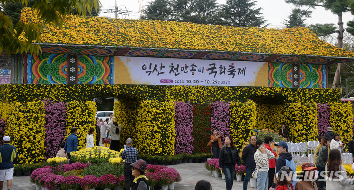 [익산=뉴시스] 김얼 기자 = 제20회 익산천만송이국화축제가 한창인 22일 전북 익산시 익산중앙체육공원을 찾은 시민들이 국화축제를 만끽하며 주말을 보내고 있다. 2023.10.22. pmkeul@newsis.com