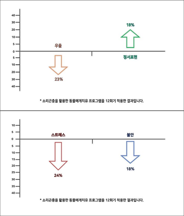 원광대 "여치·귀뚜라미 소리, 노인 우울·정서 치유 효과 있다"