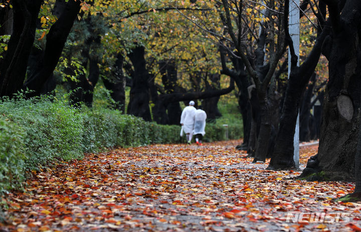 [서울=뉴시스] 고범준 기자 = 비가 내리는 5일 서울 영등포구 여의서로에 낙엽이 떨어져 있다. 2023.11.05. bjko@newsis.com