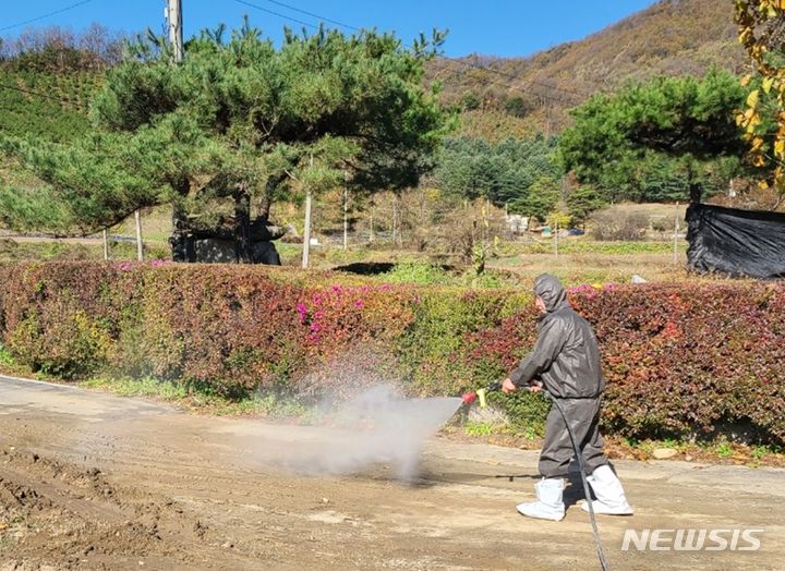 [충주=뉴시스] 이도근 기자= 럼피스킨 방역작업. (사진=충주시 제공) 2023.11.7. photo@newsis.com *재판매 및 DB 금지