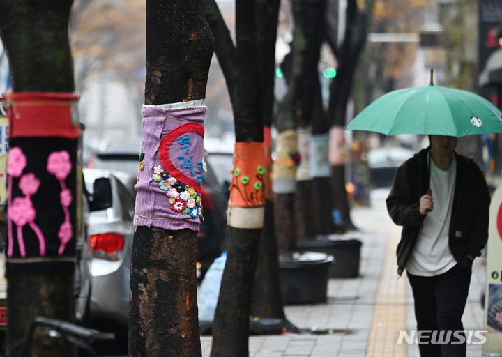 [수원=뉴시스] 김종택 기자 = 겨울을 재촉하는 비가 내린 27일 경기도 수원시 영통구 망포역 인근 거리에서 우산을 쓴 시민이 뜨개옷을 입은 가로수길을 걷고 있다. 2023.11.27. jtk@newsis.com