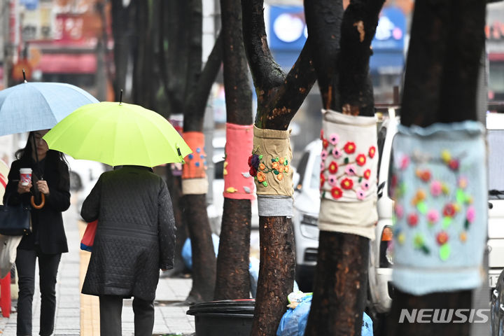 [수원=뉴시스] 김종택 기자 = 겨울을 재촉하는 비가 내린 27일 경기도 수원시 영통구 망포역 인근 거리에서 우산을 쓴 시민들이 뜨개옷을 입은 가로수길을 걷고 있다. 2023.11.27. jtk@newsis.com