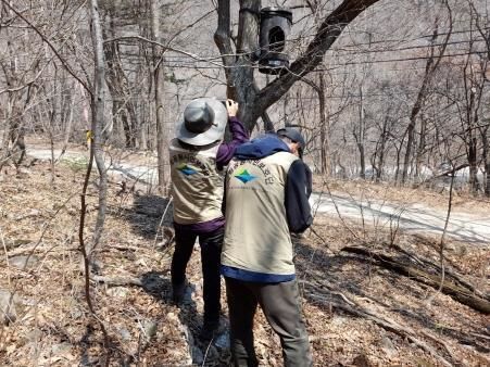 [서울=뉴시스] 국립공원공단은 자기주도형 봉사활동 제도를 도입하고 일정 시간 이상 봉사자에게 'VIP' 뱃지를 지급한다고 4일 밝혔다. 사진은 긴점박이올빼미 인공둥지 모니터링 봉사활동 모습. (사진=환경부 제공) 2023.12.04. photo@newsis.com *재판매 및 DB 금지