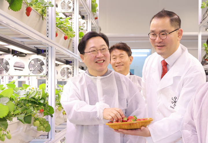[대전=뉴시스]이장우 대전시장이 6일 대전 중구 대흥동 대전팜에서 재배한 딸기를 살펴보고 있다. (사진=대전시 제공) 2024. 02. 06 *재판매 및 DB 금지