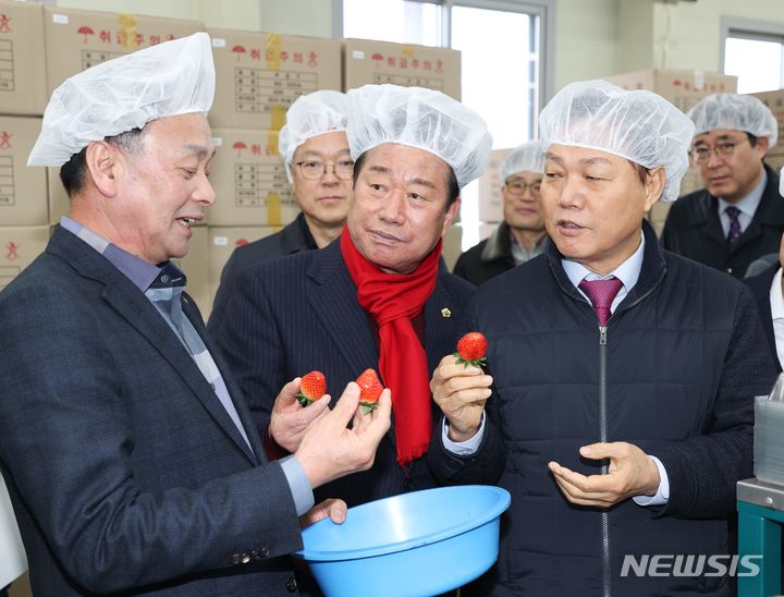 [창원=뉴시스]박완수(맨 오른쪽) 경남도지사가 7일 진주시 수곡면 딸기수출농업단지를 찾아 딸기 품질에 대해 얘기하고 있다.(사진=경남도 제공)2024.02.07. photo@newsis.com