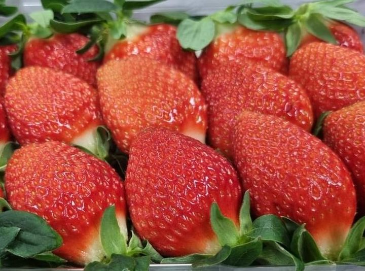 ๋ฅํฐ๋ค์ด์ด๋ฆฌ ๋ด์ค ๋ธ๋ฆฌํ