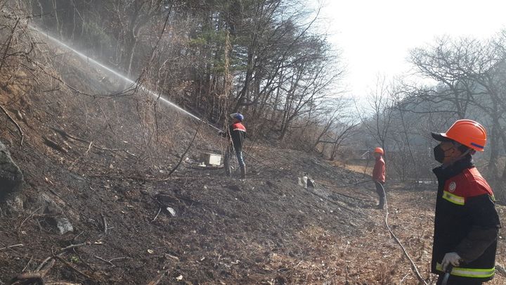 [청주=뉴시스] 사진 = 산림청 제공 *재판매 및 DB 금지