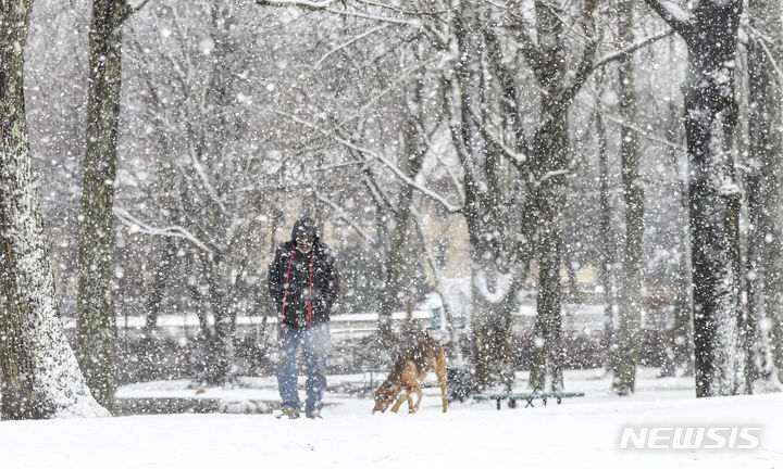 [매사추세츠=AP/뉴시스] 많은 눈이 내린 13일(현지시간) 미국 매사추세츠주에서 한 시민이 강아지와 함께 산책을 하고 있다. 2024.02.14.