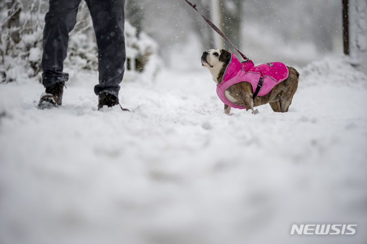 [로드아일랜드=AP/뉴시스] 많은 눈이 내린 13일(현지시간) 미국 로드아일랜드주 프로비던스에서 한 시민이 강아지와 함께 눈길을 걷고 있다. 2024.02.14.