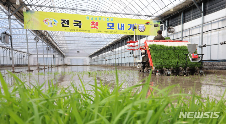 [이천=뉴시스] 김금보 기자 = 16일 경기도 이천시 한 농가에서 열린 '임금님표이천쌀 전국 첫 모내기 행사'에서 농부가 이앙기로 모내기를 하고 있다. 2024.02.16. kgb@newsis.com