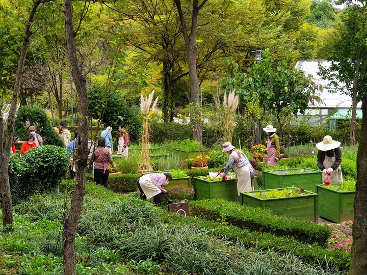 [대전=뉴시스] 신구대학교에서 진행된 정원치유 활동의 모습.(사진=산림청 제공) *재판매 및 DB 금지