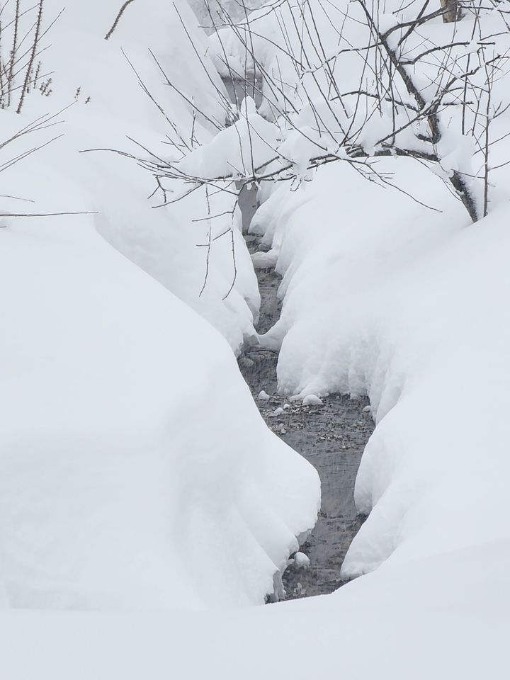 강릉시 왕산에 22일 오전 50cm 이상의 눈이 쌓인 가운데 조그마한 냇가의 물줄기가 흐르고 있다. *재판매 및 DB 금지