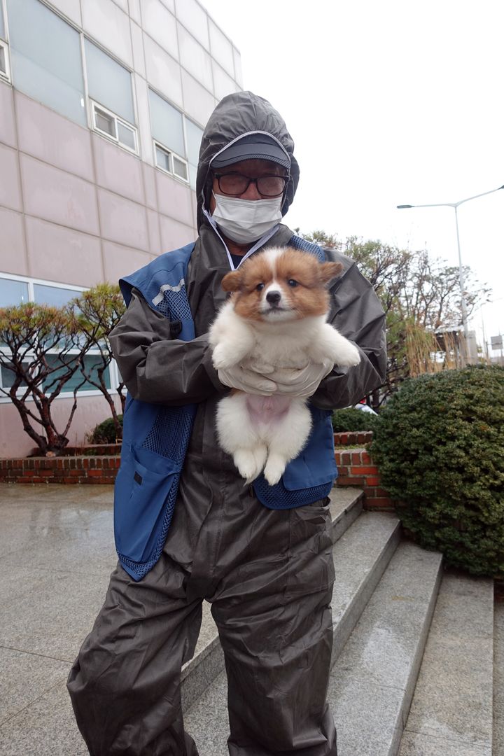 [논산=뉴시스]논산동물보호센터 김도천 주임이 새까 강아지를 구조하고 있다. (사진=논산시 제공) 2024. 02. 24 *재판매 및 DB 금지