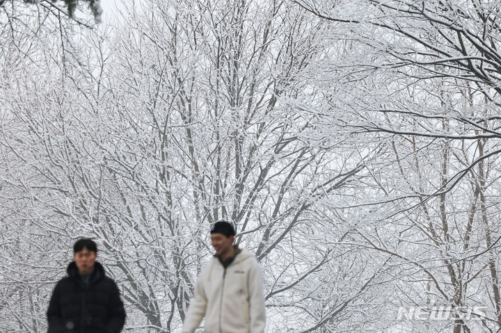 [서울=뉴시스] 권창회 기자 =지난 25일 오전 서울 남산에 눈이 내리고 있다. 2024.02.25. kch0523@newsis.com