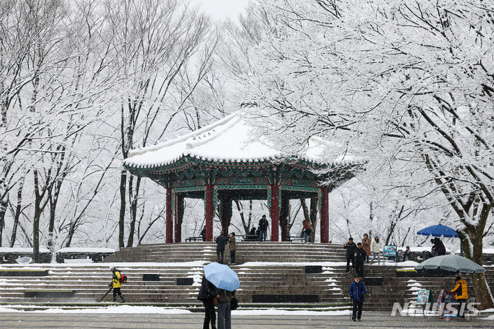 [서울=뉴시스] 권창회 기자 = 25일 오전 서울 남산에 눈이 내리고 있다. 2024.02.25. kch0523@newsis.com