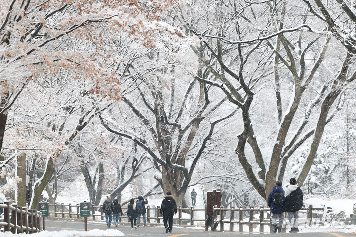 [서울=뉴시스] 권창회 기자 = 25일 오전 서울 남산에 눈이 내리고 있다. 2024.02.25. kch0523@newsis.com