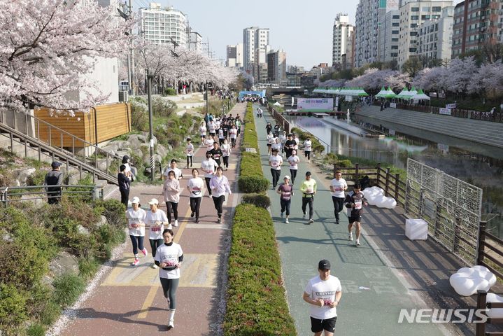 [서울=뉴시스]서울 은평구는 오는 31일 벚꽃 명소인 불광천변에서 '2024 은평 불광천 벚꽃 마라톤대회'를 개최한다고 8일 밝혔다. (사진=은평구 제공). 2024.03.08. photo@newsis.com 