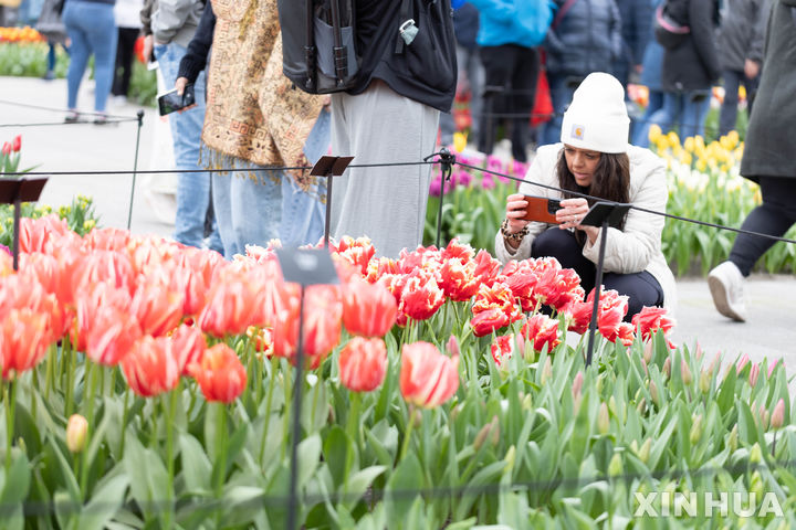 [리세=신화/뉴시스] 21일(현지시각) 네덜란드 리세의 쾨켄호프 공원에서 방문객들이 알록달록한 튤립들을 구경하고 있다. 지상 최대의 튤립 축제라 불리는 쾨켄호프 꽃축제가 21일 개막해 5월 12일까지 이어진다. 2024.03.22.