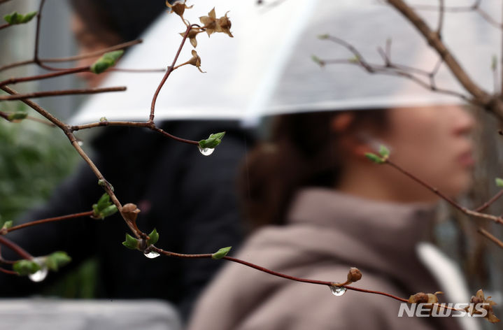 [서울=뉴시스] 고승민 기자 = 전국에 비가 내린 지난 26일 서울로7017에서 나무에 빗방울이 맺혀 있는 가운데 우산을 쓴 시민들이 지나가고 있다. 2024.03.26. kkssmm99@newsis.com