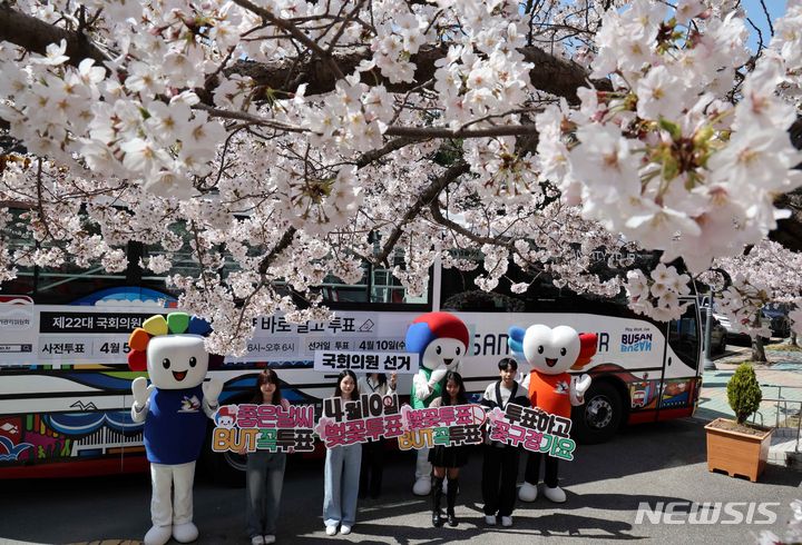 [부산=뉴시스] 하경민 기자 = 1일 부산 남구 국립부경대학교에서 부산시선거관리위원회 직원과 대학생 등이 부산시티투어버스와 활짝 핀 벚꽃을 배경으로 제22대 국회의원 선거 투표참여를 홍보하는 캠페인을 펼치고 있다. 2024.04.01. yulnetphoto@newsis.com