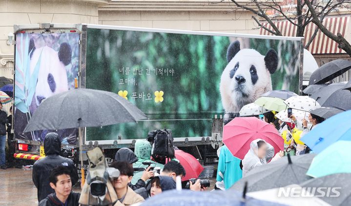 [용인=뉴시스] 사진공동취재단 = 3일 오전 경기도 용인시 에버랜드에서 시민들이 중국으로 떠나는 푸바오를 싣고 있는 무진동 특수 차량을 보며 배웅하고 있다. 2024.04.03. photo@newsis.com