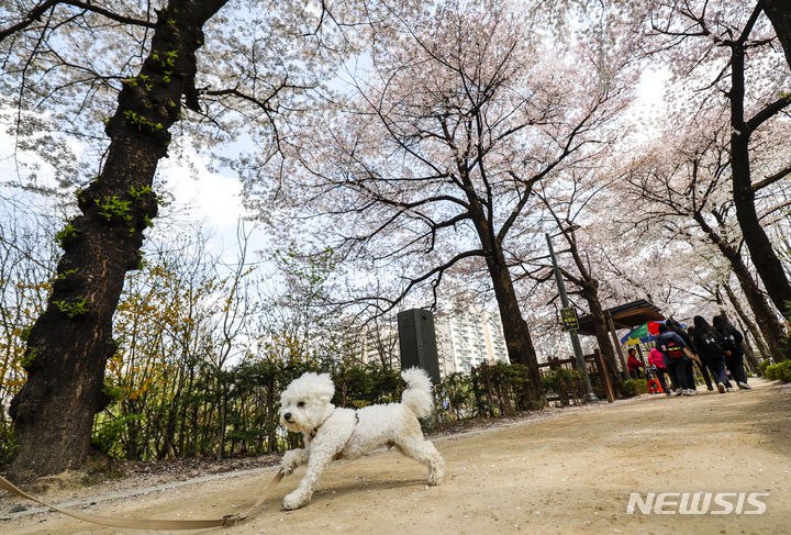 인천, 낮 기온 '훌쩍' 올라 큰 일교차…대기 건조 계속