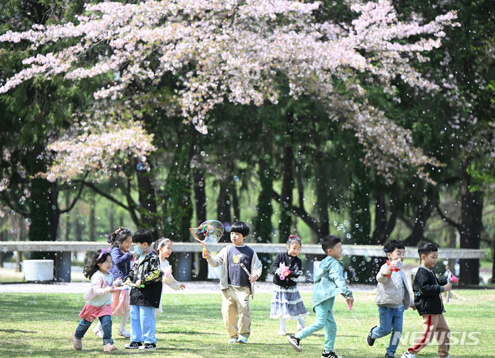 [광주=뉴시스] 박기웅 기자 = 9일 오전 광주 북구 용봉동 전남대학교로 야외활동을 나온 광주의 한 어린이집 아이들이 비눗방울을 가지고 놀고 있다. 2024.04.09. pboxer@newsis.com