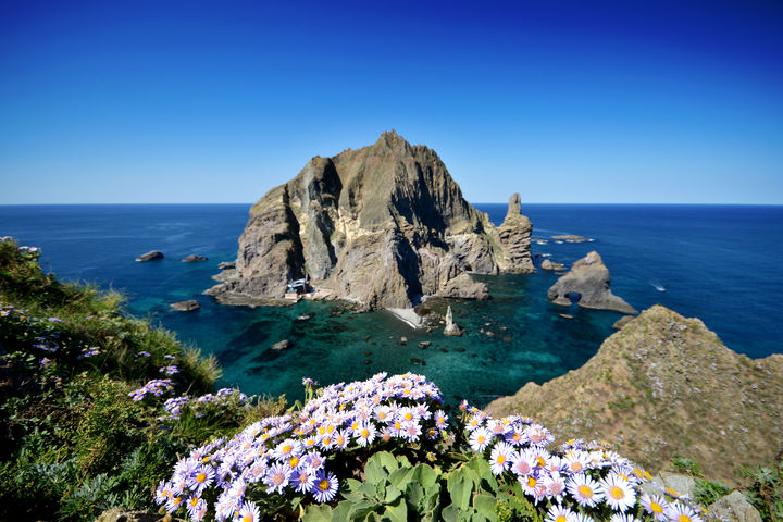 ‘House rats’ have been imported into Dokdo, a nature reserve… Government begins administration challenge :: Empathy Media News Agency ::