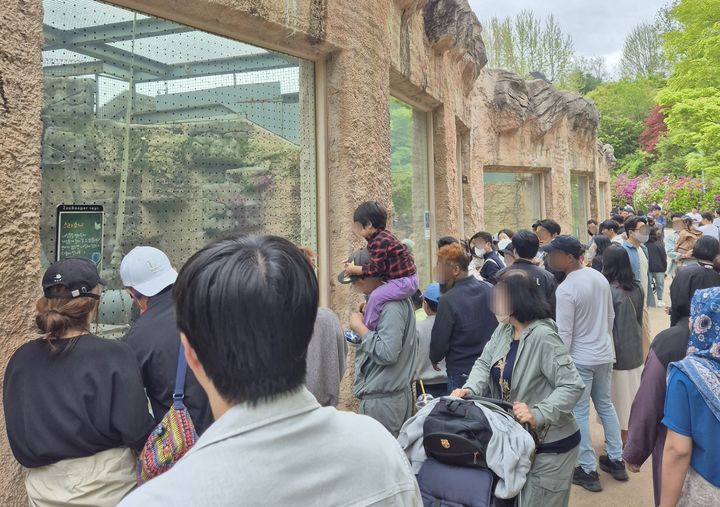 [서울=뉴시스]많은 관람객들이 지난 21일 서울 광진구 어린이대공원 동물원을 찾아 전시된 동물들을 관람하고 있다. 2024.4.28. dal@newsis.com *재판매 및 DB 금지