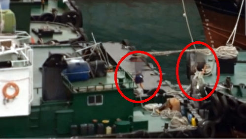 [부산=뉴시스] 조직원들이 부산항 선박에 침입하고 있다. 부산 동부경찰서 제공 *재판매 및 DB 금지