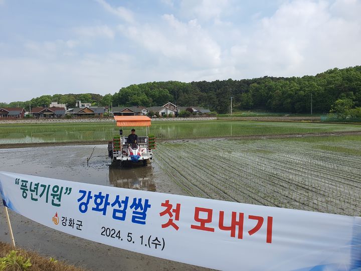 [인천=뉴시스] 인천 강화군에서 강화섬쌀 첫 모내기가 이뤄지고 있다. (사진=강화군 제공) *재판매 및 DB 금지