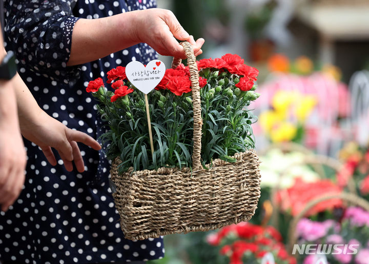 [서울=뉴시스] 추상철 기자 = 어버이날을 엿새 앞둔 2일 오후 서울 서초구 양재 꽃시장에서 시민이 카네이션을 고르고 있다. 2024.05.02. scchoo@newsis.com