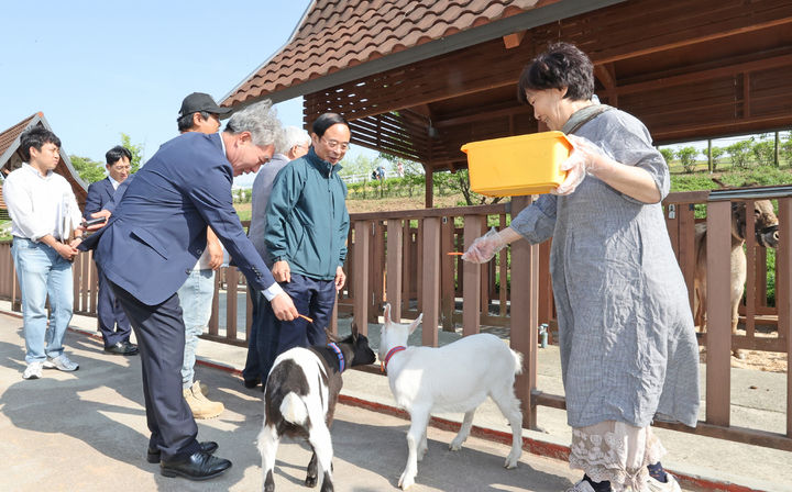 임실치즈테마파크 인근 미니동물원 유가축장에서 심민 군수(앞 왼쪽 두번째)가 염소들을 나고 있다. *재판매 및 DB 금지