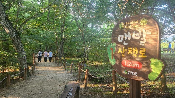 [함양=뉴시스] 서희원 기자= 천연기념물 제154호 상림공원에서 맨발걷기를 하고 있다. 2024. 05. 16. shw1881@newsis.com *재판매 및 DB 금지