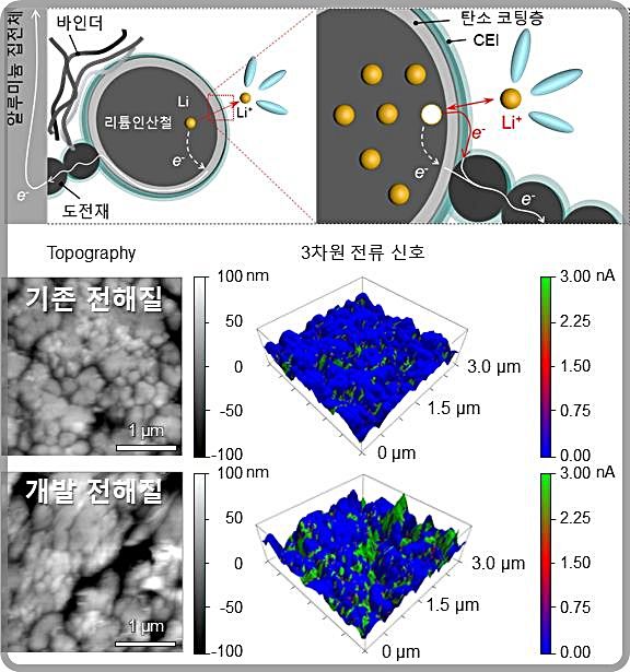 [대전=뉴시스] 첨가제가 사용되지 않은 리튬인산철 양극과 KAIST 개발 첨가제를 적용한 리튬인산철 양극의 C-AFM 나노스케일 영상화 결과. 개발 첨가제를 사용한 경우 3D 전류신호가 비교적 높은 값(초록색 부분이 증가함)을 갖는다.(사진=KAIST 제공) *재판매 및 DB 금지