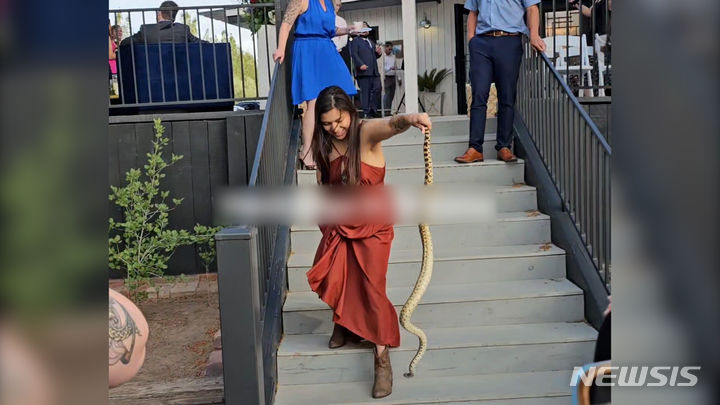지난 5일(현지시간) 미국 남서부 애리조나주에서 열린 한 결혼식에 나타난 뱀을 여성이 맨손으로 집어서 치우는 영상이 소셜미디어(SNS)에 공개돼 화제가 됐다. 여성은 이날 결혼식을 올린 신부의 여동생으로 확인됐다. 출처 : @sandraleos22 *재판매 및 DB 금지