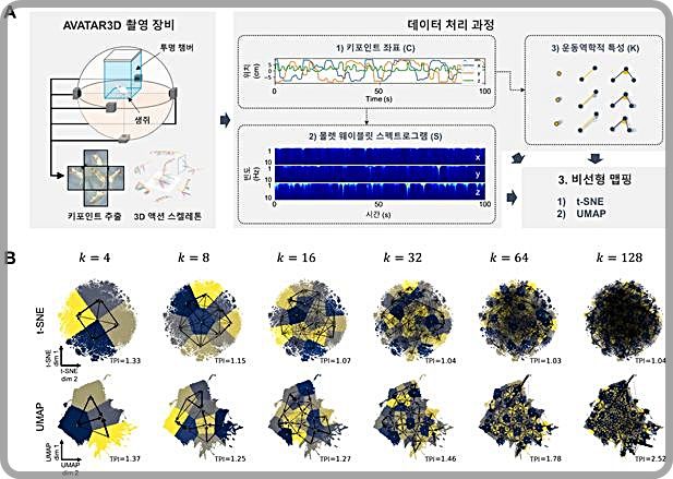 [대전=뉴시스] IBS가 개발한 SUBTLE 프레임워크 모식도. 그림 A는 생쥐의 움직임에서 키포인트들의 3차원 좌표를 얻어내고 분석하는 과정이며 B는 비선형 맵핑 결과로, 클러스터 개수(k) 증가에 따른 임베딩 결과를 보여준다.(사진=IBS 제공)  *재판매 및 DB 금지