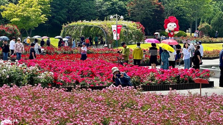 [울산=뉴시스] 구미현 기자 =제16회 울산대공원 장미축제를 찾은 관람객들이 장미원에서 사진을 촬영하고 있다.(사진=SK이노베이션 제공) photo@newsis.com *재판매 및 DB 금지