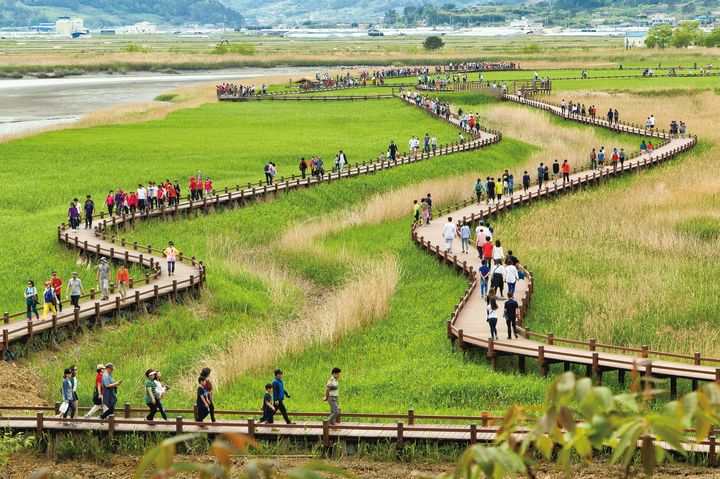 [무안=뉴시스] 순천만 나들이. (사진=전남도 제공) 2024.05.28. photo@newsis.com *재판매 및 DB 금지